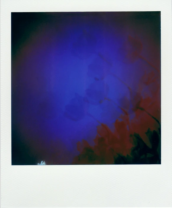 a polaroid picture of a blue sky with clouds, inspired by Attila Meszlenyi, color field, purple bioluminescence, ( ( photograph ) ), helene frankenthaler, 2022
