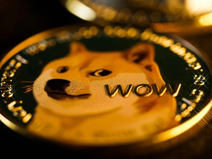 a close up of a doge coin on a table, a hologram, trending on pexels, liquid gold, hero, shot on webcam, subject: dog