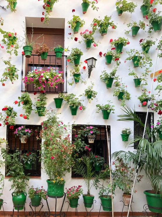 a bunch of potted plants on the side of a building, golondrinas, covered in flowers, green and white, moorish architecture