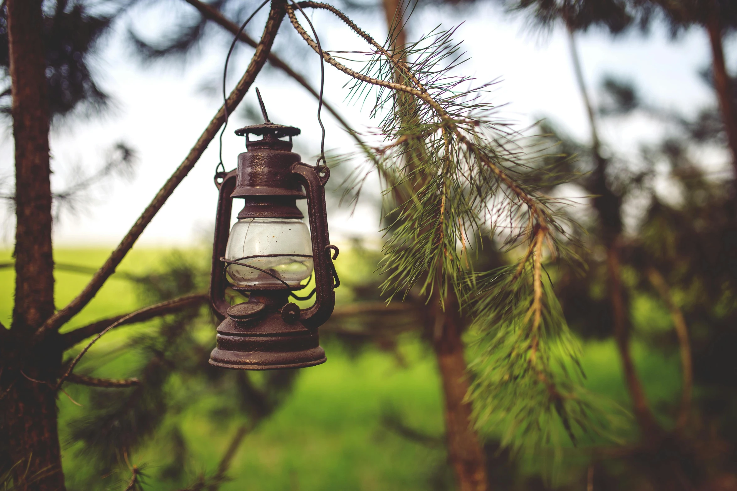 an old lantern hanging from a tree branch, a picture, unsplash, fan favorite, paul barson, camping, eye level view