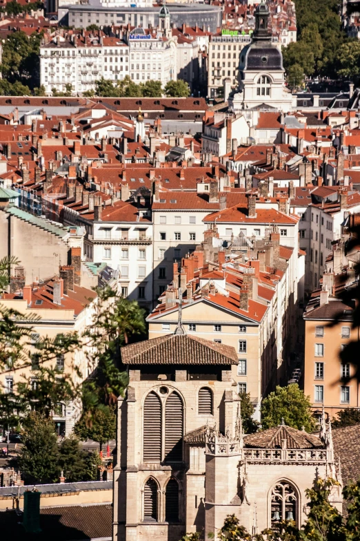 a view of a city from the top of a hill, by Bernard D’Andrea, pexels contest winner, renaissance, tiled roofs, arkane lyon, high resolution photo, square