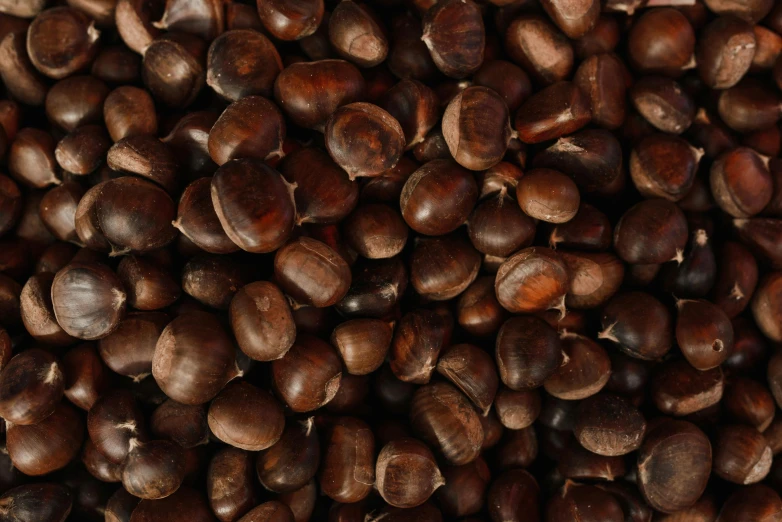 a pile of chestnuts sitting on top of each other, a digital rendering, by Yasushi Sugiyama, trending on pexels, long coffee brown hair, 2000s photo, hemp, zoomed out to show entire image