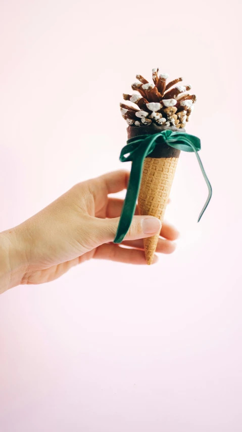 a person holding a cone filled with pine cones, pexels, milkshake, ribbon, instagram picture, 1 6 x 1 6