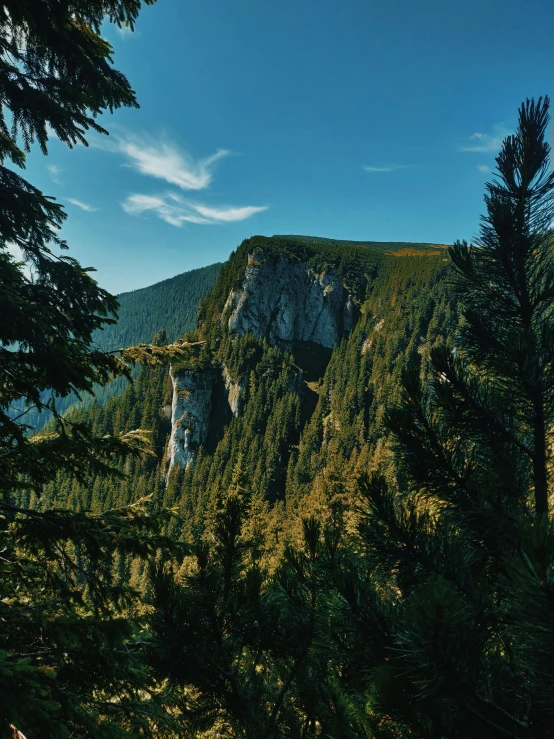 a view of a mountain with trees in the foreground, by Alexander Bogen, pexels contest winner, renaissance, steep cliffs, screensaver, carpathian mountains, slide show