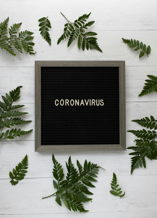 a sign that says coronavirus surrounded by green leaves, by Carey Morris, unsplash contest winner, blackboard, 1 6 x 1 6, ferns, panel of black