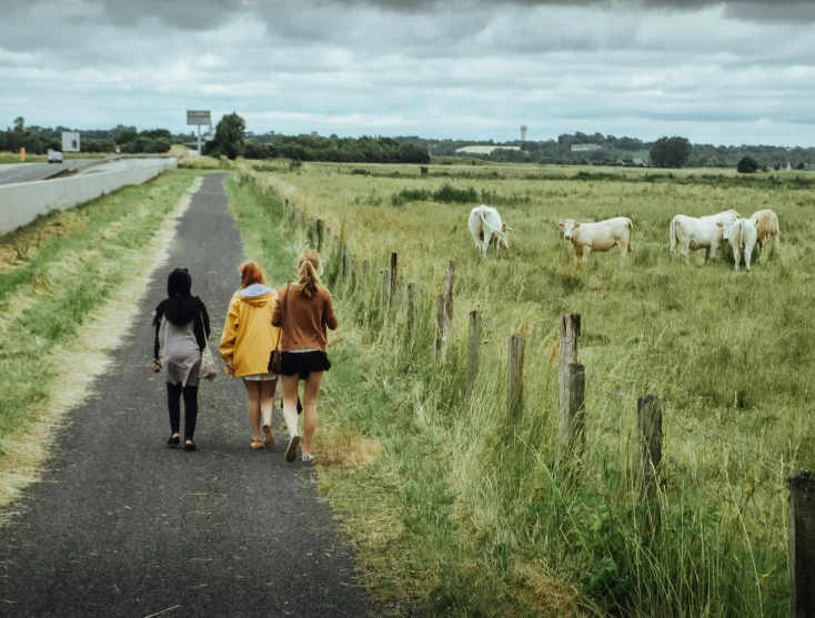 a couple of people that are walking down a road, by Colijn de Coter, unsplash, young girls, pony, new zeeland, in a open green field