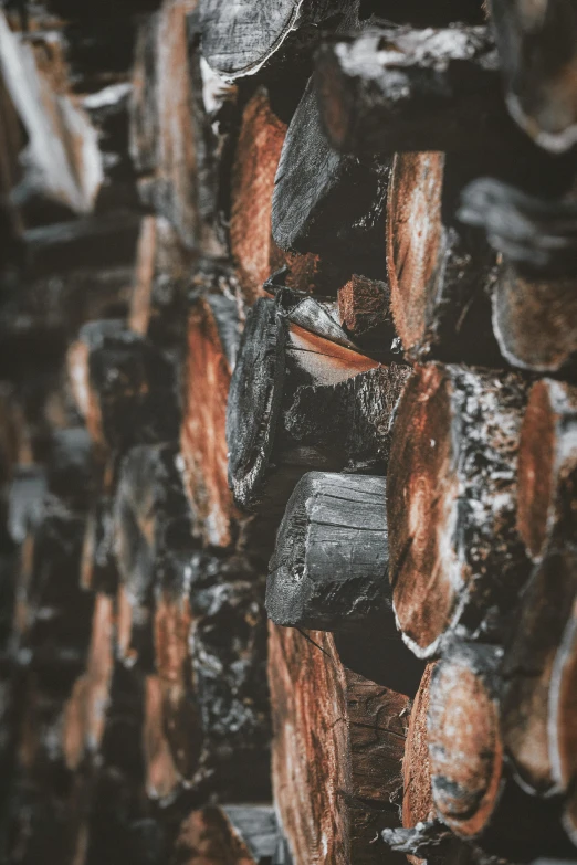 a pile of wood sitting next to a pile of logs, an album cover, by Jesper Knudsen, pexels contest winner, charcoal color skin, macro details, lots of embers, vertical wallpaper