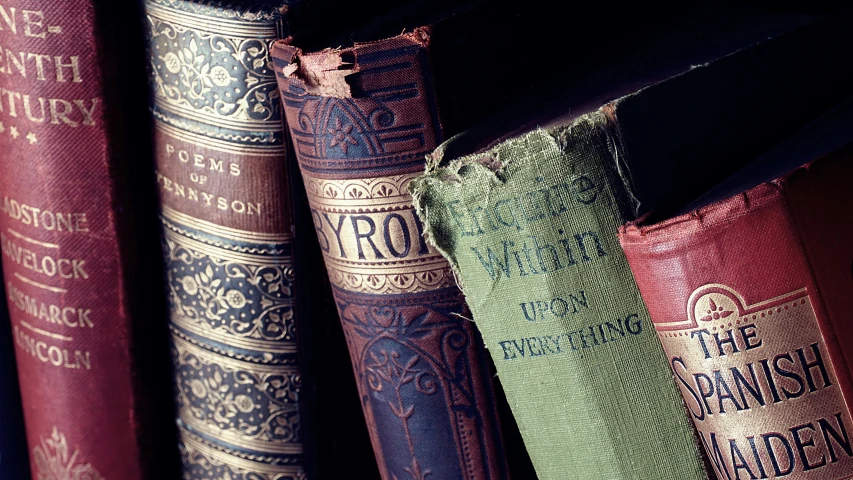 a row of old books sitting on top of a shelf, by Sylvia Wishart, romanticism, up close image, saying, windings, thumbnail
