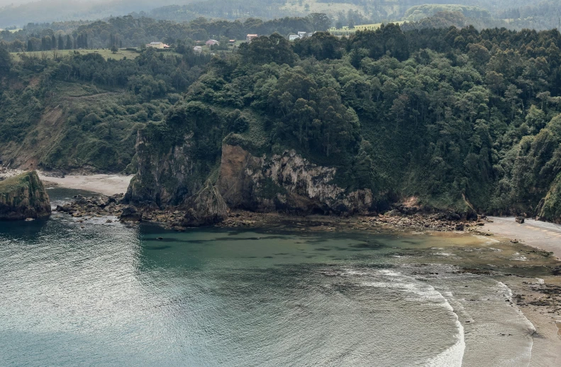 a large body of water next to a lush green hillside, inspired by Juan de Flandes, pexels contest winner, hurufiyya, rocky cliff, abel tasman, on the beach at noonday, conde nast traveler photo