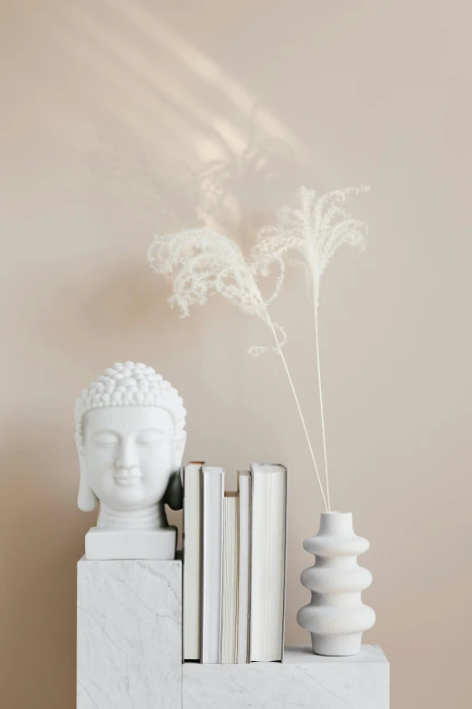 a white buddha statue sitting next to a stack of books, a statue, inspired by Li Di, trending on pexels, light and space, plume made of seaweed, gypsophila, on clear background, made of marble