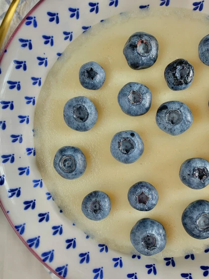 a close up of a plate of food with blueberries, inspired by Christen Købke, thumbnail, 1840, homemade, medium