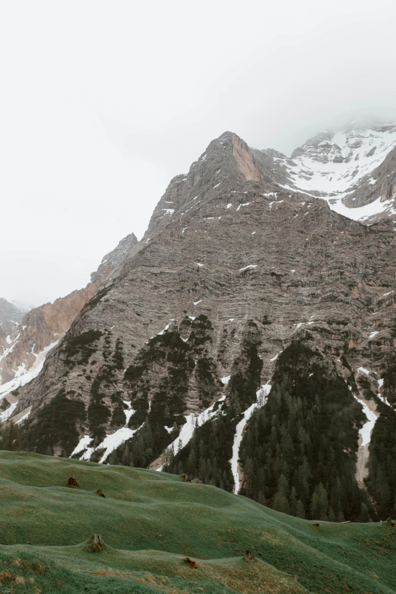 a couple of horses standing on top of a lush green field, a picture, by Alessandro Allori, les nabis, snowy craggy sharp mountains, geological strata, incredible wide screenshot, multiple stories