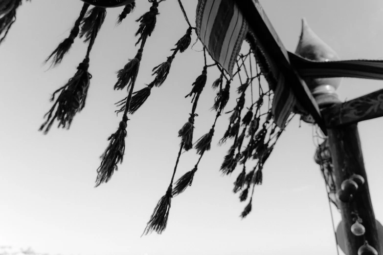 a black and white photo of a basketball hoop, sōsaku hanga, tassels, silk flowing in wind, low angle!!!!, herbs hanging