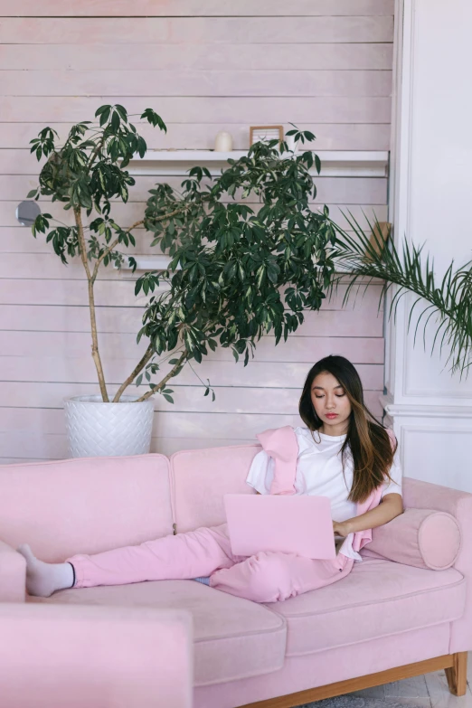 a woman sitting on a pink couch using a laptop, by Julia Pishtar, trending on pexels, wearing white pajamas, pink bonsai tree, wearing a track suit, 6 : 3 0 am