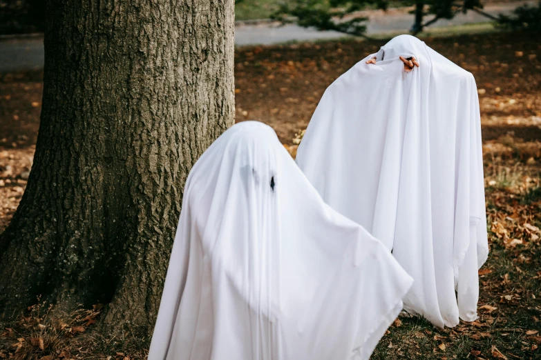 two white ghosts standing next to a tree, pexels, funeral veil, trick or treat, blank, pictured from the shoulders up