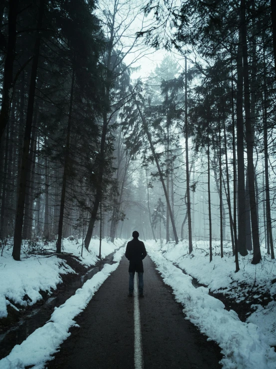 a person walking down a snowy road in the woods, inspired by Adam Marczyński, pexels contest winner, ominous figure in the background, tourist photo, facing away, ((forest))