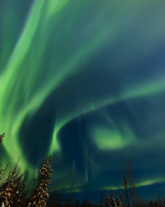 the aurora bore lights up the night sky, pexels contest winner, hurufiyya, thumbnail, middle close up shot, conde nast traveler photo, ilustration