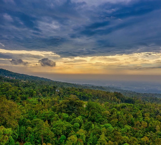 a forest filled with lots of trees under a cloudy sky, a picture, sumatraism, overlooking a vast serene forest, sun set, slide show, birds eye photograph