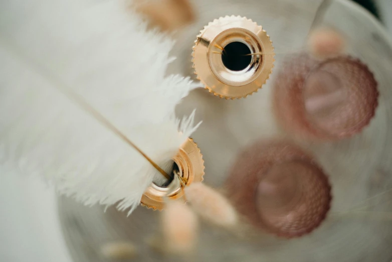 a close up of a glass vase filled with feathers, inspired by Hedi Xandt, trending on pexels, rose gold, vials, white mechanical details, 35 mm product photo”