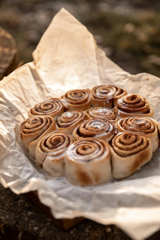 a pastry sitting on top of a piece of wax paper, by Helen Stevenson, trending on unsplash, in the shape of a cinnamon roll, outdoors, steamed buns, rosette