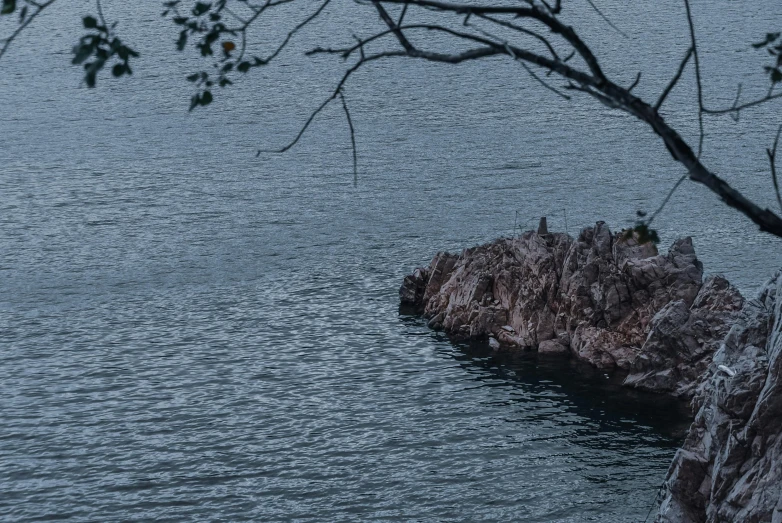 a large rock in the middle of a body of water, inspired by Elsa Bleda, unsplash, figuration libre, rock quarry location, view from the lake, 8k 50mm iso 10, the tree is on top of a calm sea