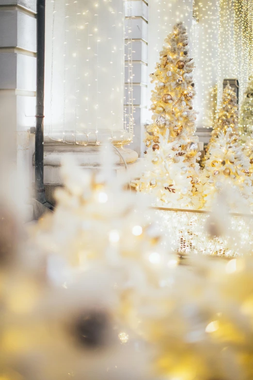 a bride and groom standing in front of a christmas tree, inspired by Bruce Munro, trending on unsplash, rococo, detail shot, scattered golden flakes, abstract mirrors, soft morning lighting