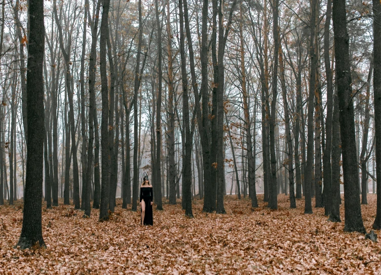 a person standing in the middle of a forest, by Attila Meszlenyi, pexels contest winner, conceptual art, an elegant woman in black dress, renaissance autumnal, forest picnic, orthodox