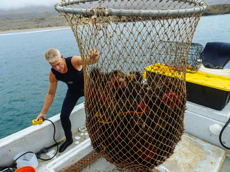 a woman standing on top of a boat holding a net, jordan peterson as a lobster, dredged seabed, abalone, guy fieri