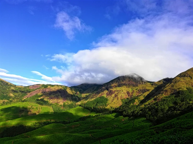 a lush green valley with mountains in the background, by Jessie Algie, unsplash, sumatraism, blue sky, tea, late afternoon light, snapchat photo