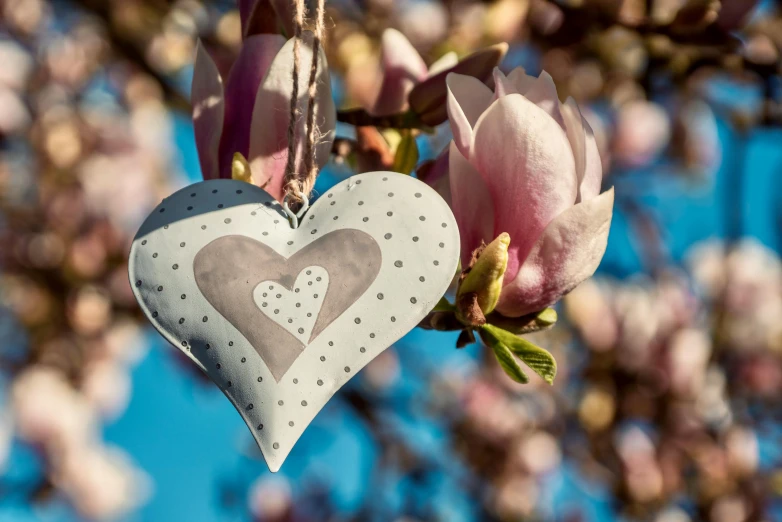 a heart shaped ornament hanging from a tree, a photo, by Sylvia Wishart, trending on pexels, arts and crafts movement, almond blossom, silver lining, grey, pink