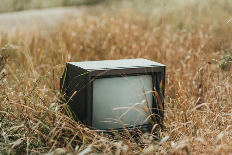 an old television sitting in the middle of a field, by Elsa Bleda, unsplash, video art, sustainable materials, grass, ignant, the black box