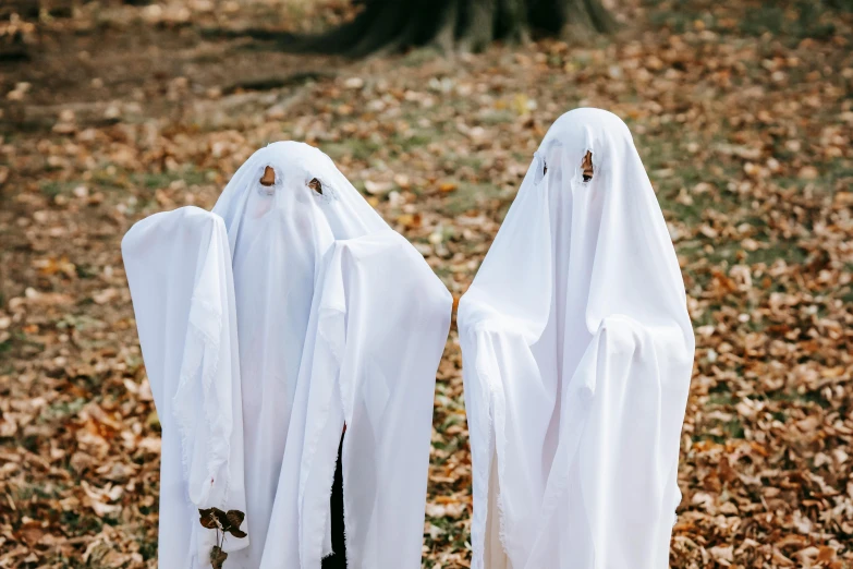 two ghosts standing next to each other in the leaves, pexels contest winner, wearing white cloths, replicas, blank, trick or treat