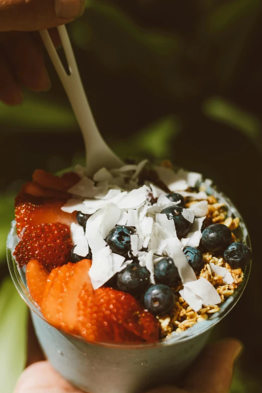 a hand holding a cup of yogurt with strawberries and blueberries, by Niko Henrichon, pexels, renaissance, coconuts, its bowl overflowing with plants, maui, handcrafted