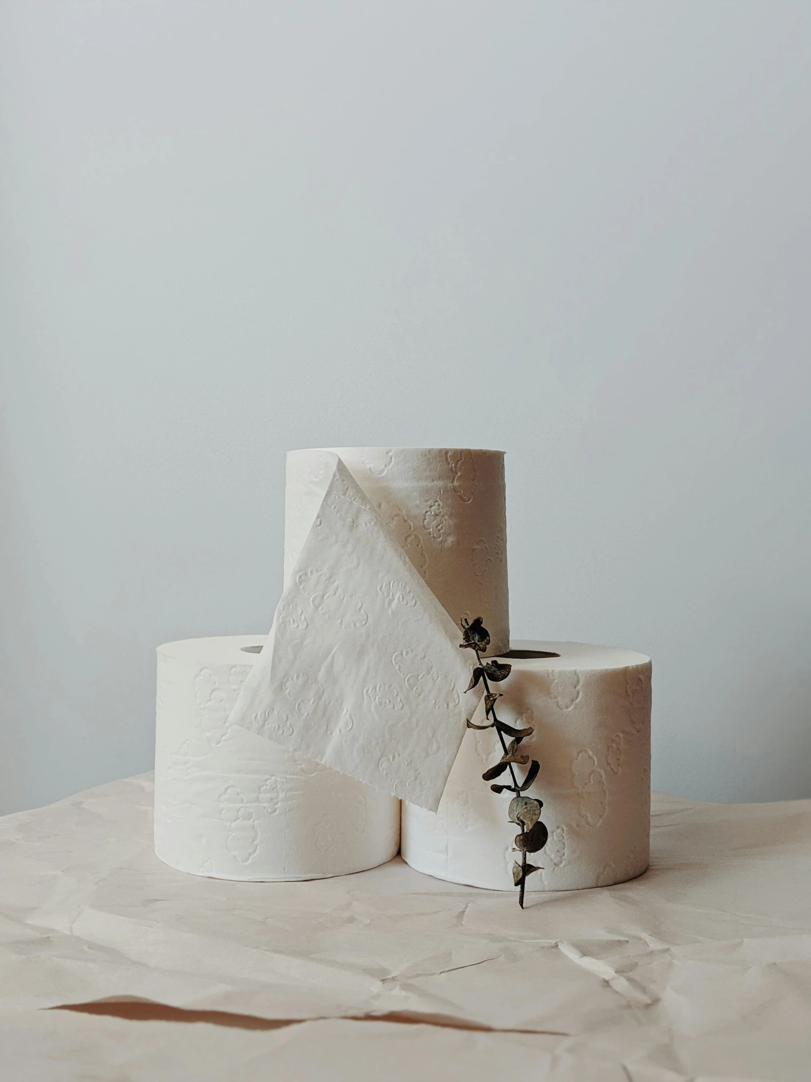 two rolls of toilet paper sitting on top of a table, a marble sculpture, by Jessie Algie, botanical herbarium paper, high quality product photo, 3 - piece, organic ceramic white