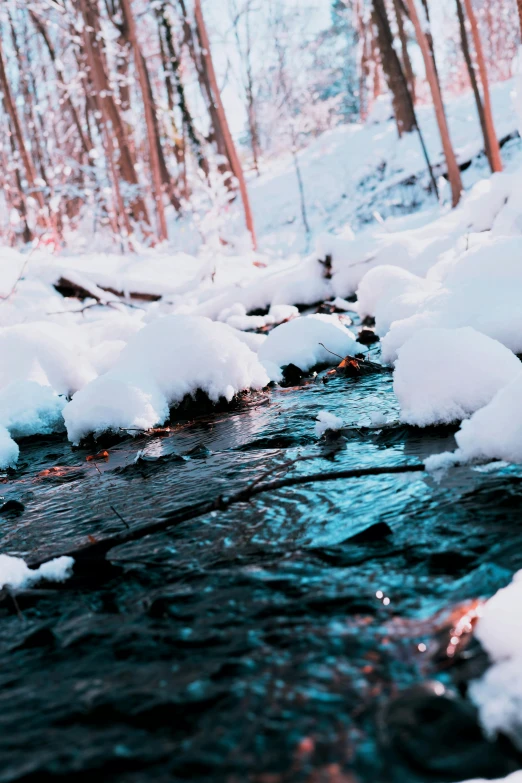 a stream running through a snow covered forest, inspired by Elsa Bleda, pexels contest winner, crystal clear neon water, lo fi colors, black, cozy