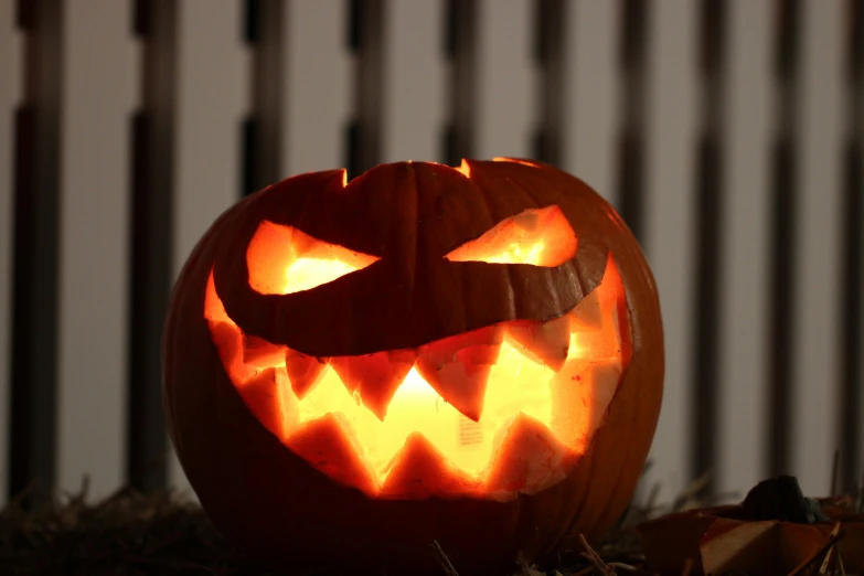 a carved pumpkin sitting in the grass next to a fence, at night, profile image