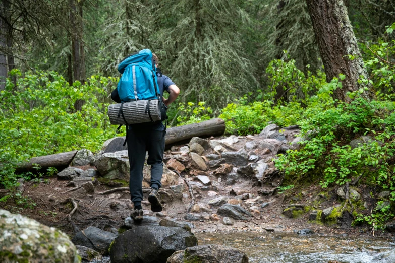 a person with a backpack crossing a stream in the woods, profile image, campsites, thumbnail, whistler