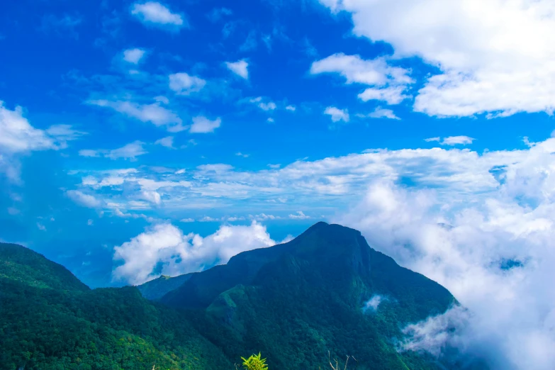 a couple of cows standing on top of a lush green hillside, pexels contest winner, sumatraism, avatar image, standing on a cloud, background image, monserrat gudiol