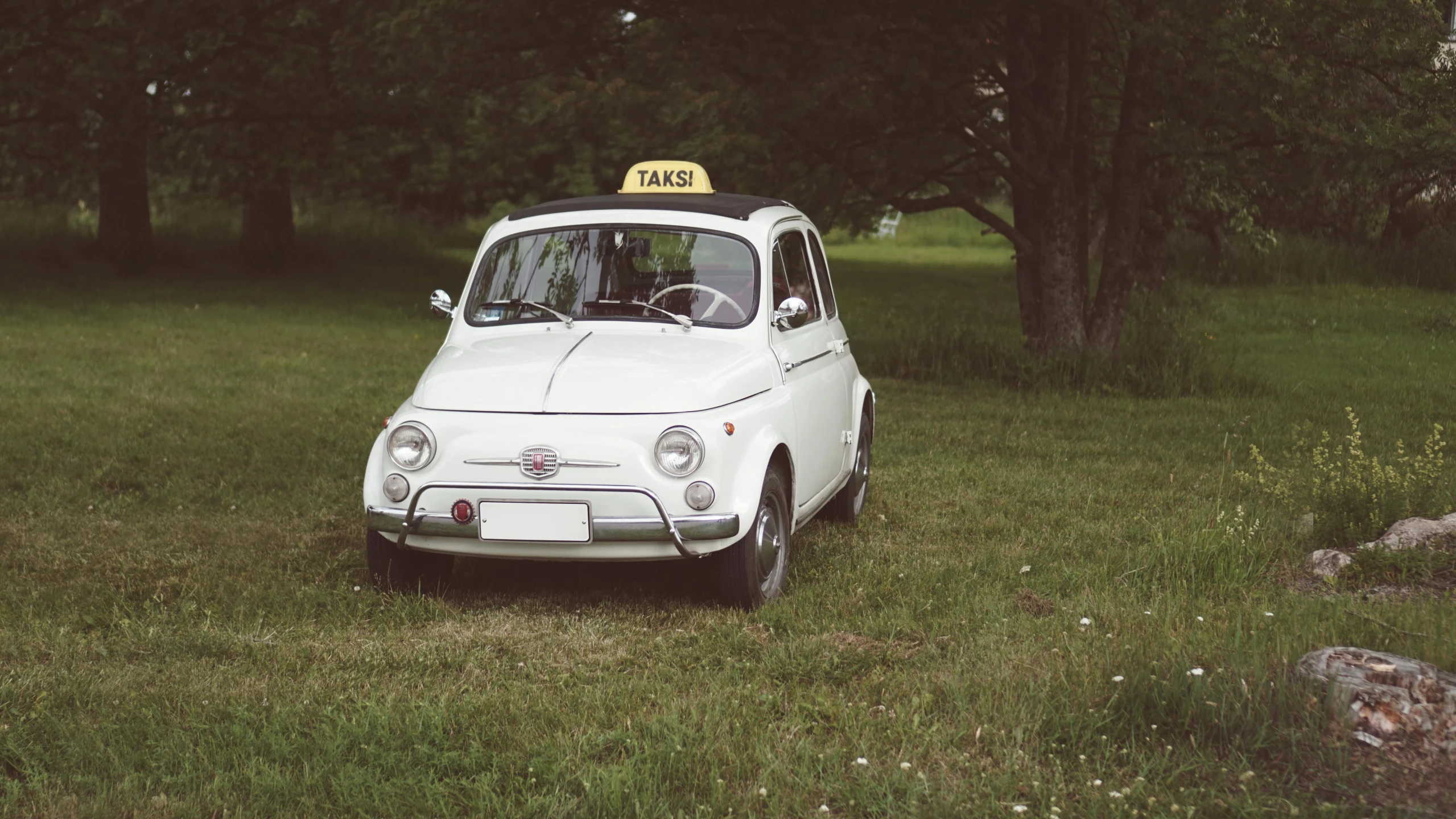 a small white car sitting on top of a lush green field, inspired by Diane Arbus, pexels contest winner, renaissance, taxi, brown, italian, just a cute little thing