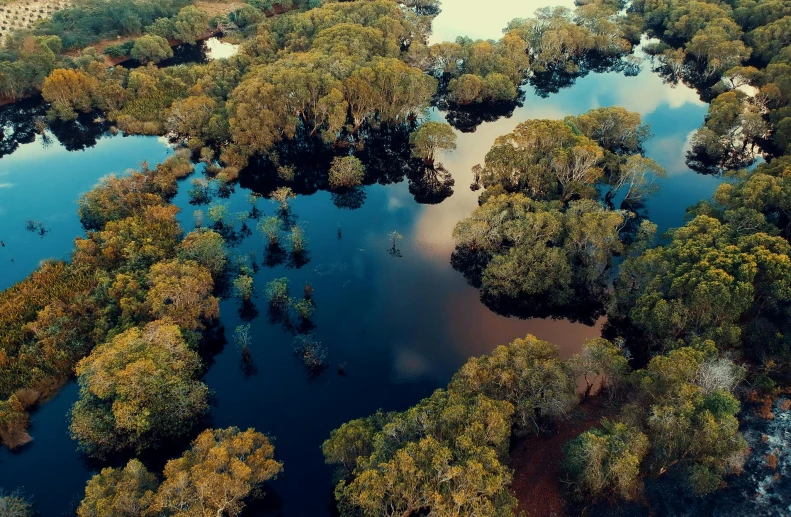 a large body of water surrounded by trees, by Elizabeth Durack, pexels contest winner, australian tonalism, sinkholes, floating islands, calmly conversing 8k, thumbnail