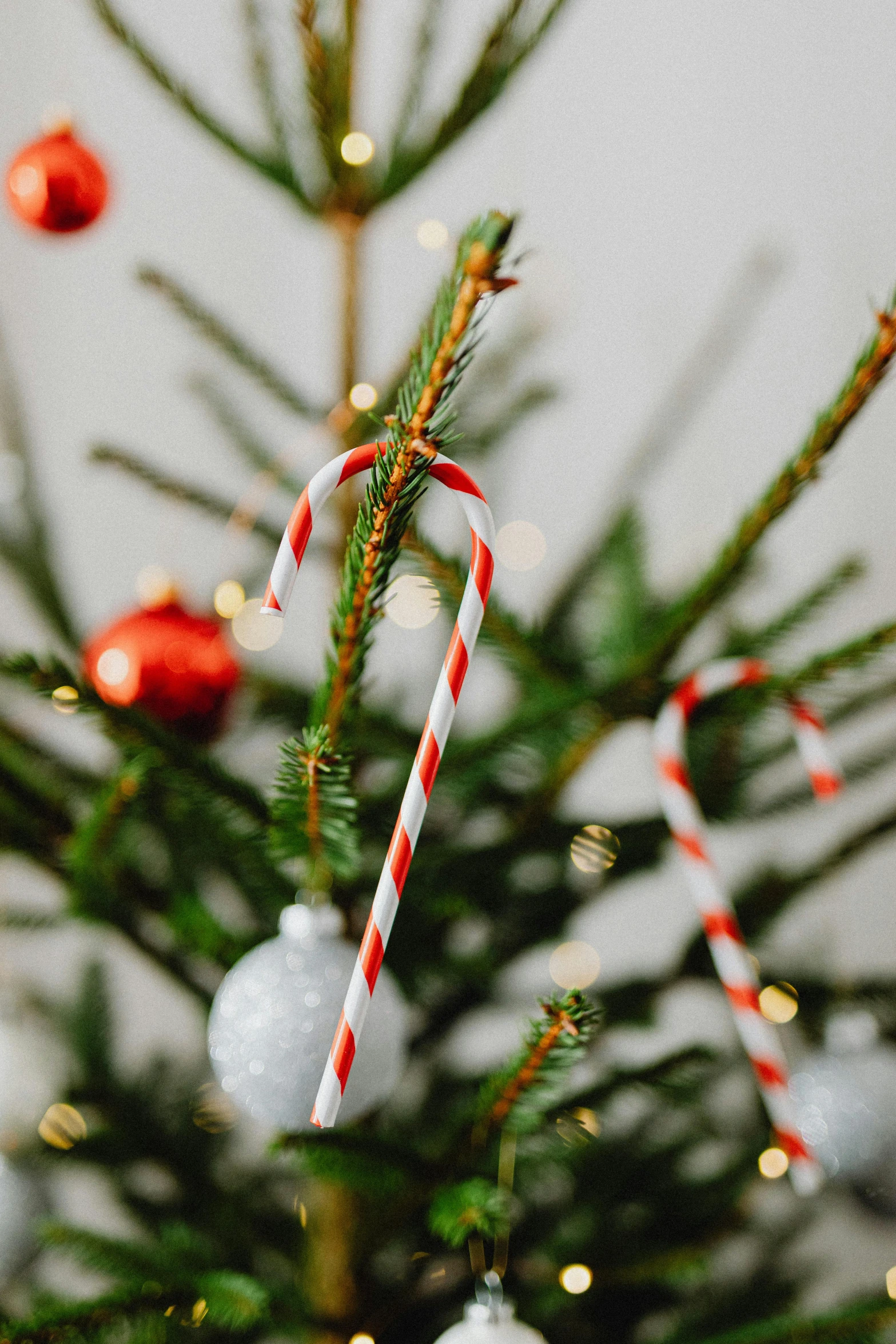 a close up of a christmas tree with candy canes, pexels, folk art, soft grey and red natural light, made of glazed, paper, small