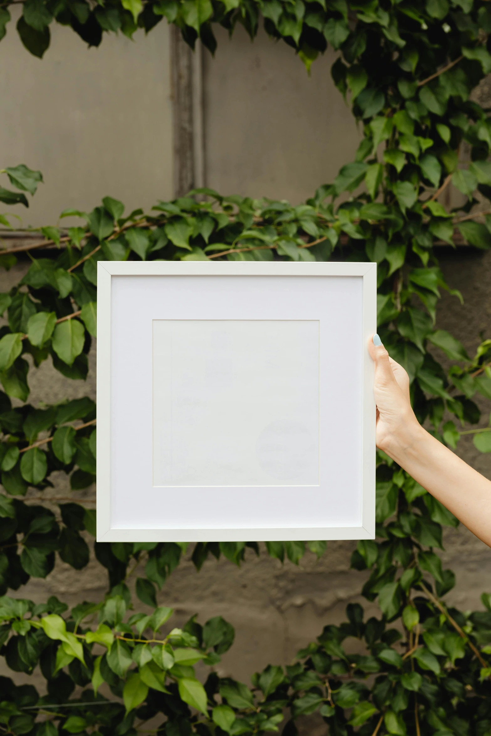 a woman holding up a white picture frame, inspired by Agnes Martin, visual art, highest quality, botanical herbarium paper, bright white realistic, overhead sun