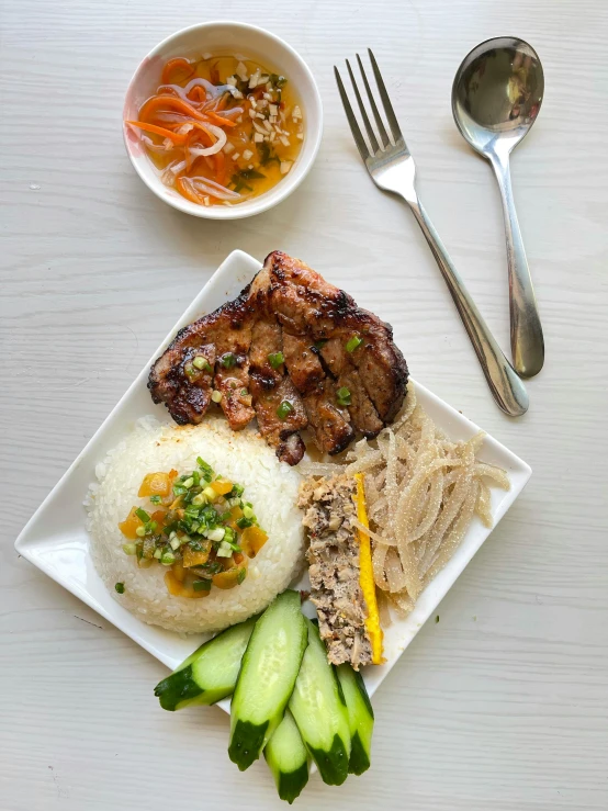 a white plate topped with rice and meat, bowl filled with food, offering a plate of food, high view, profile image