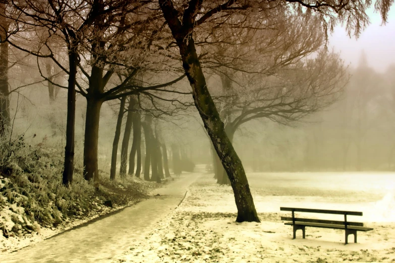 a bench sitting in the middle of a snow covered park, a picture, inspired by Franz Sedlacek, pexels contest winner, tonalism, brown mist, beige mist, misty alleyway, green fog