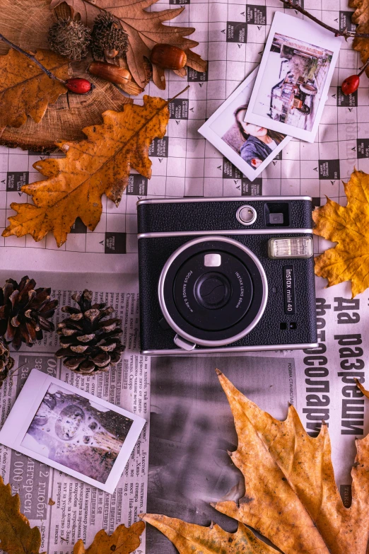 a camera sitting on top of a newspaper surrounded by autumn leaves, a polaroid photo, photo booth, a medium shot, posing for a picture, autumnal colours