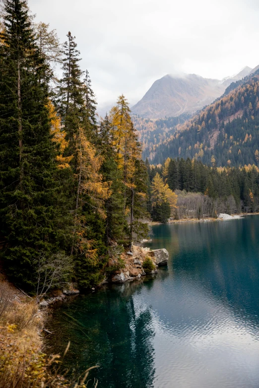 a body of water surrounded by trees and mountains, in the swiss alps, mid fall, null, fan favorite