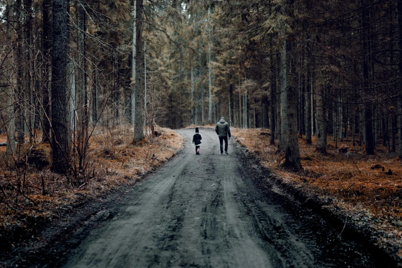 two people walking down a dirt road in the woods, by Jesper Knudsen, pexels contest winner, father with child, dystopian gray forest background, thumbnail, lonely rider