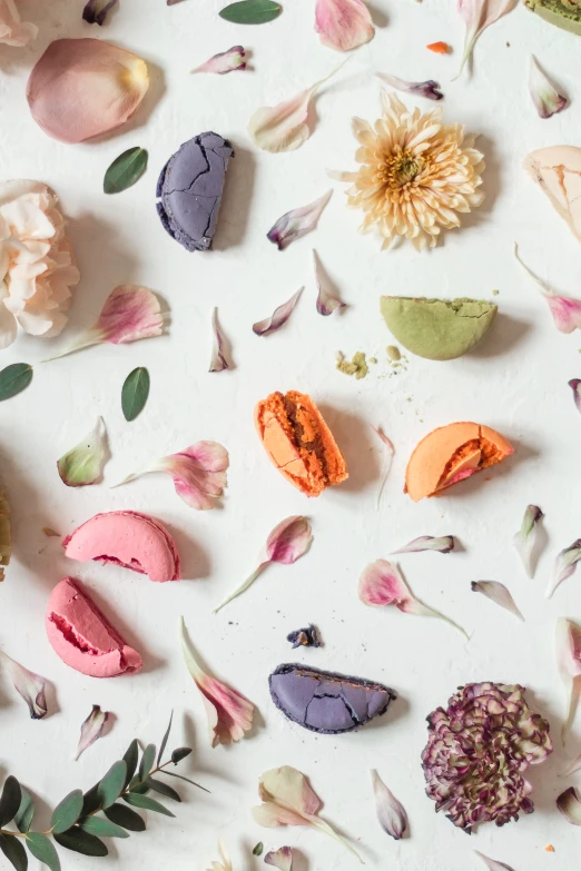 a white table topped with macaroons and flowers, inspired by Pierre Mion, trending on unsplash, conceptual art, dried petals, summer color pattern, edible crypto, lotus petals