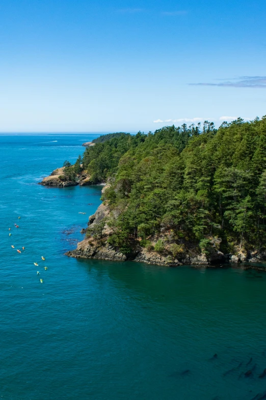 a large body of water surrounded by trees, a photo, by Jim Nelson, pexels contest winner, coastal cliffs, tubing, victoria, slide show