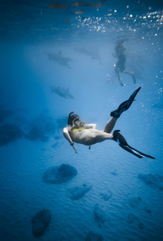 a person swimming in a body of water, under the sea, azores, in the ocean, various posed